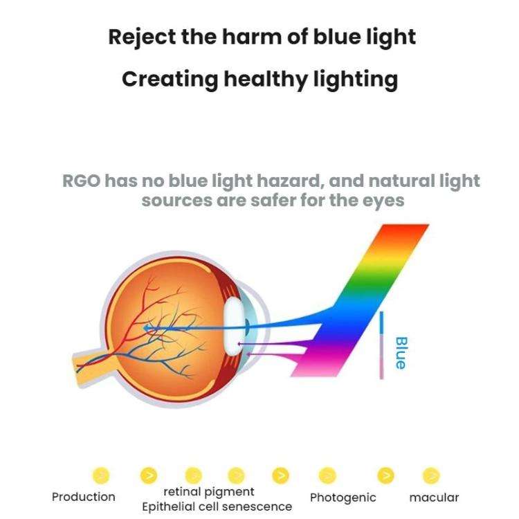 LED Desk Lamp Children Study Reading Eye-Protecting Bedside Light, Plug-in, Rechargeable, Dual-us...