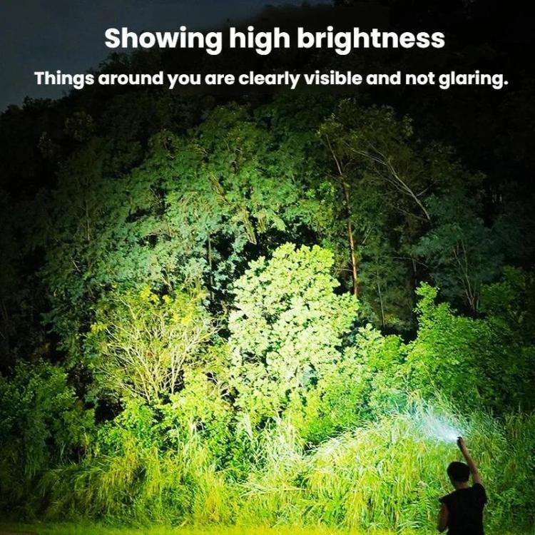 Portable LED Light Compact Mini Flashlight, SD-5314A