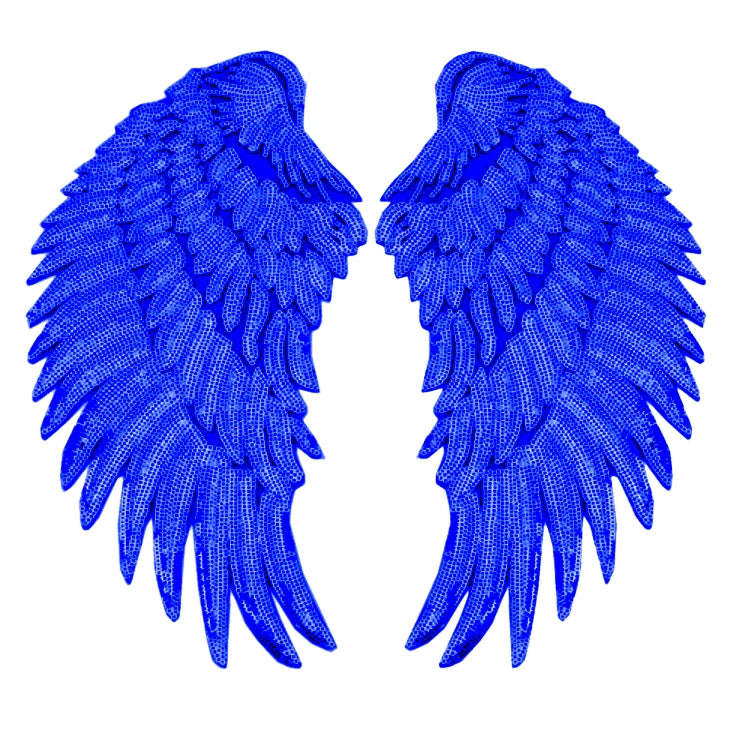 A Pair Sequin Feather Wing Shape Clothing Patch Sticker DIY Clothing Accessories, Small 20.5 x 10...