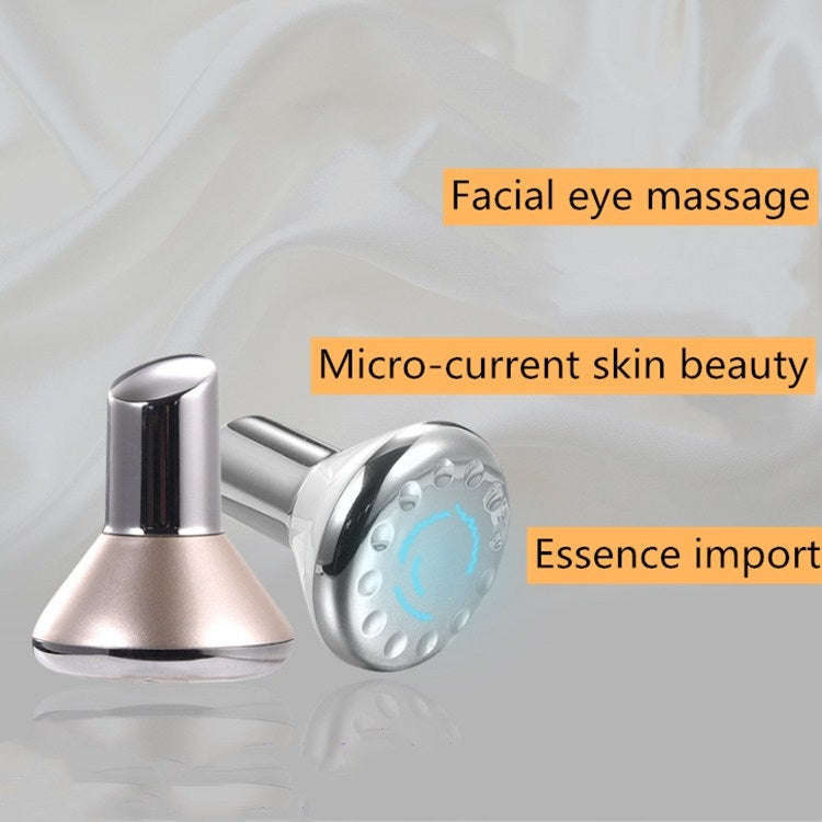 Small Dumbbell Reverse Magnetic Vibration Beauty Instrument Magnetic Mask Essential Oil Introduct...