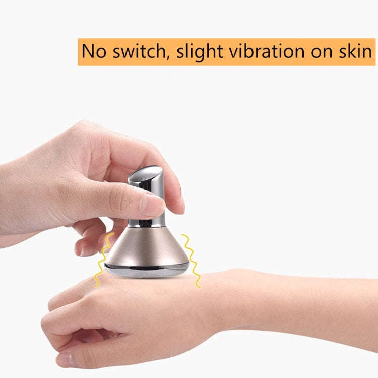 Small Dumbbell Reverse Magnetic Vibration Beauty Instrument Magnetic Mask Essential Oil Introduct...