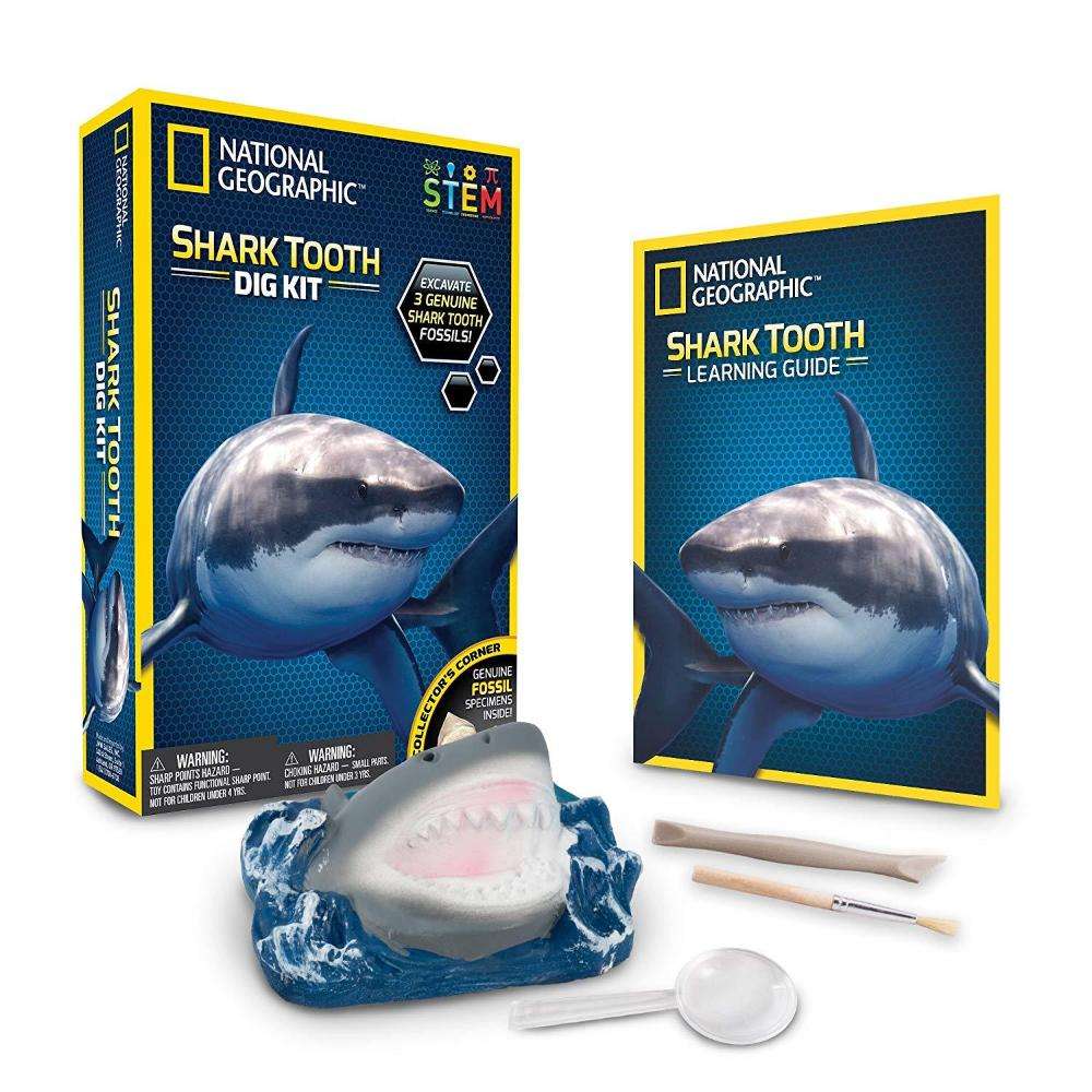 National Geographic Shark Tooth Dig Kit