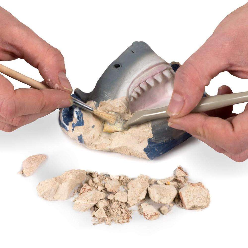 National Geographic Shark Tooth Dig Kit
