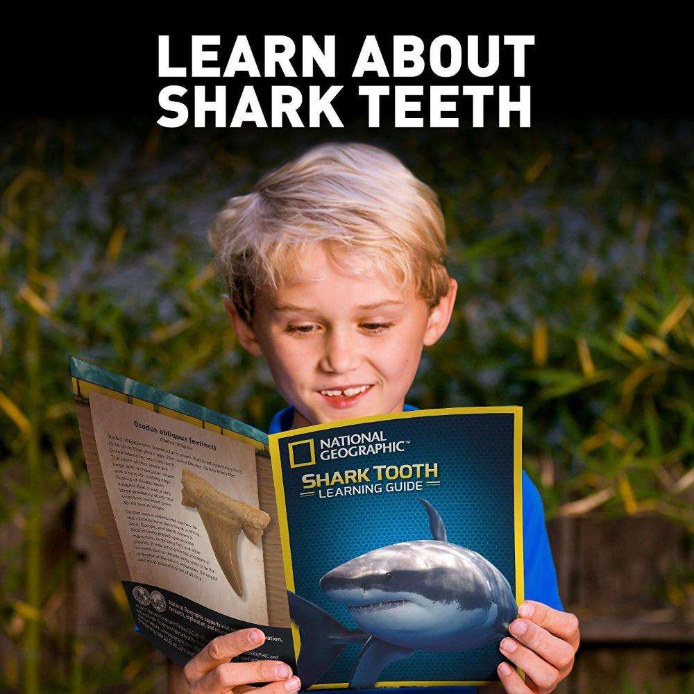 National Geographic Shark Tooth Dig Kit