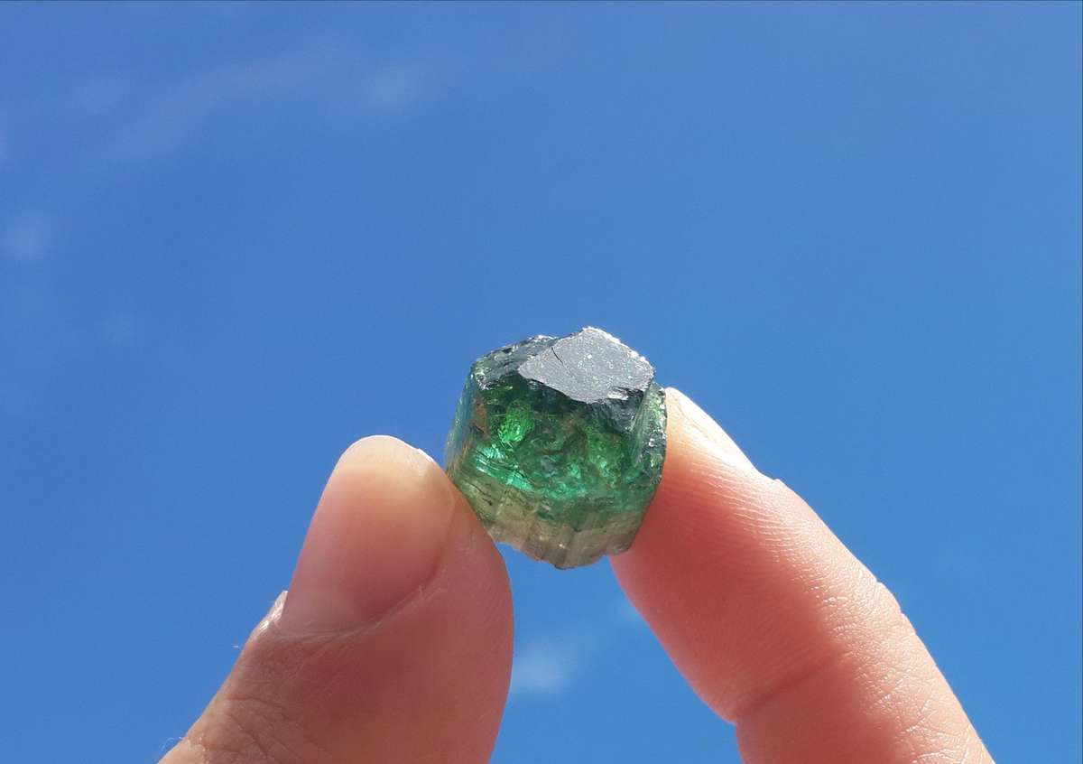 Watermelon Tourmaline Crystal - 19ct!