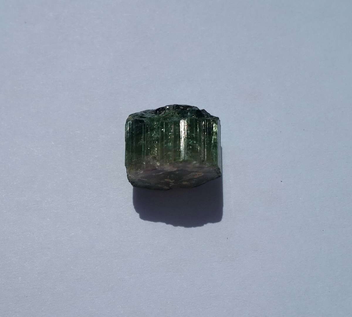 Watermelon Tourmaline Crystal - 19ct!