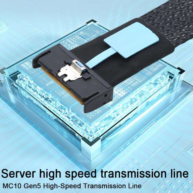 WG185 SlimeSAS MCIOx8 to 2xMCIOx4 Gen5MCIOx8 Server Data Adapter Cable, SlimeSAS MCIOx8 to 2xMCIO...
