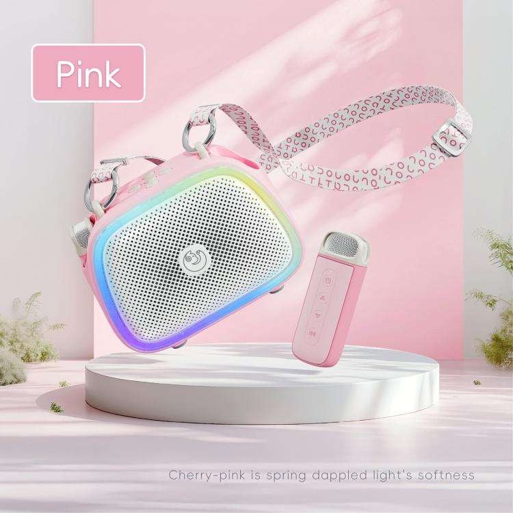 C22 Portable Karaoke Wireless Speaker with Microphone