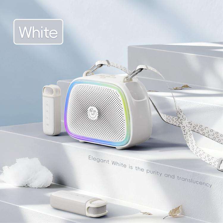 C22 Portable Karaoke Wireless Speaker with Microphone