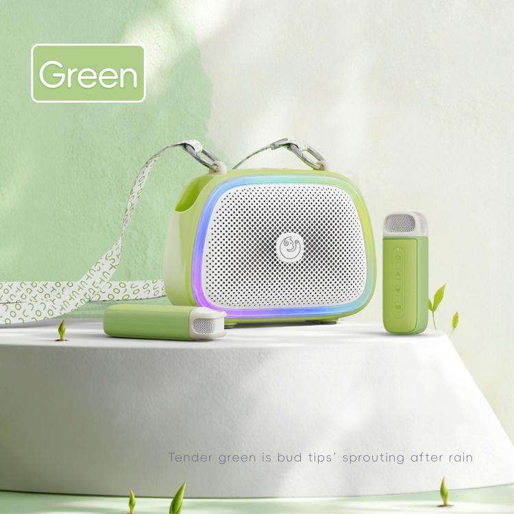 C22 Portable Karaoke Wireless Speaker with Microphone