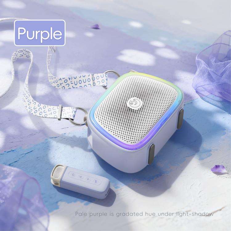 C22 Portable Karaoke Wireless Speaker with Microphone