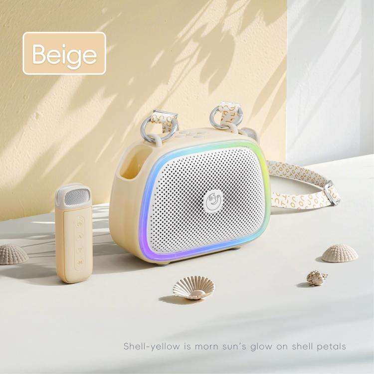 C22 Portable Karaoke Wireless Speaker with Microphone