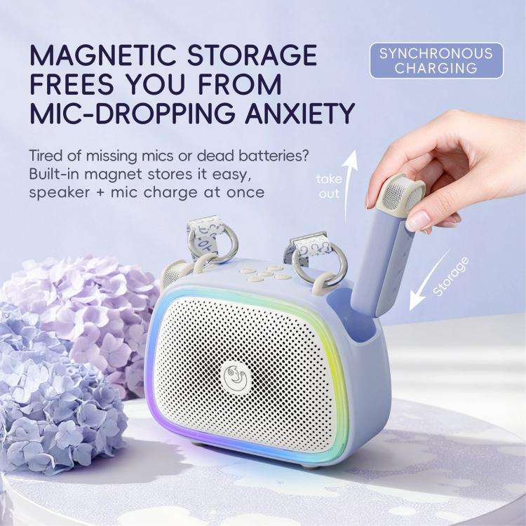 C22 Portable Karaoke Wireless Speaker with Microphone