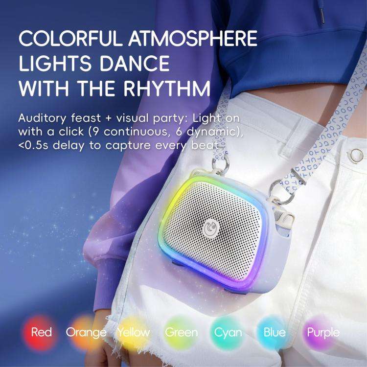 C22 Portable Karaoke Wireless Speaker with Microphone