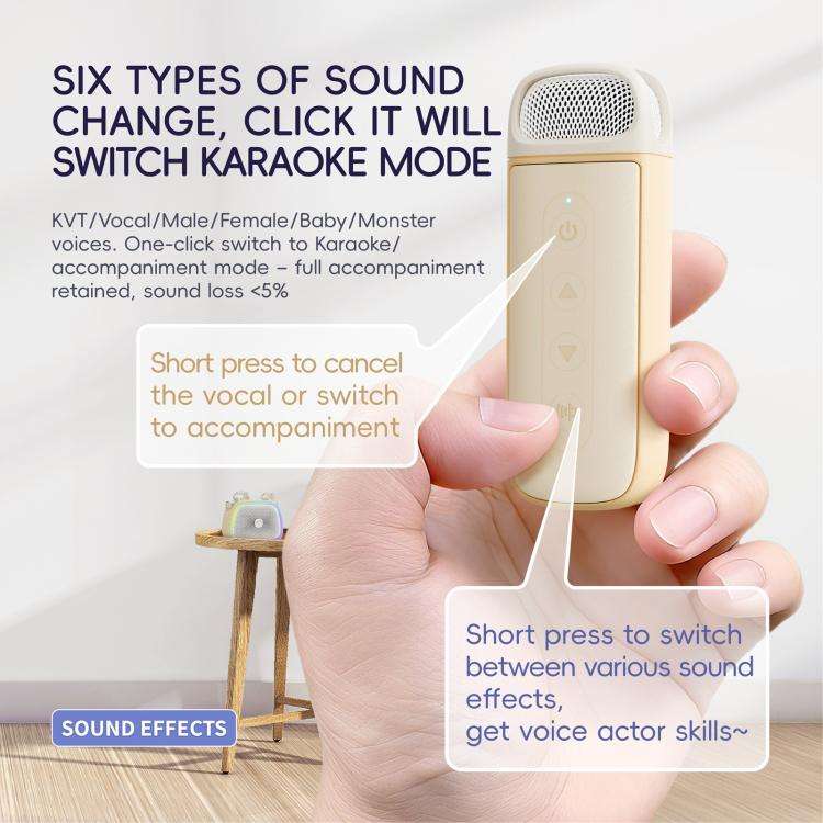 C22 Portable Karaoke Wireless Speaker with Microphone