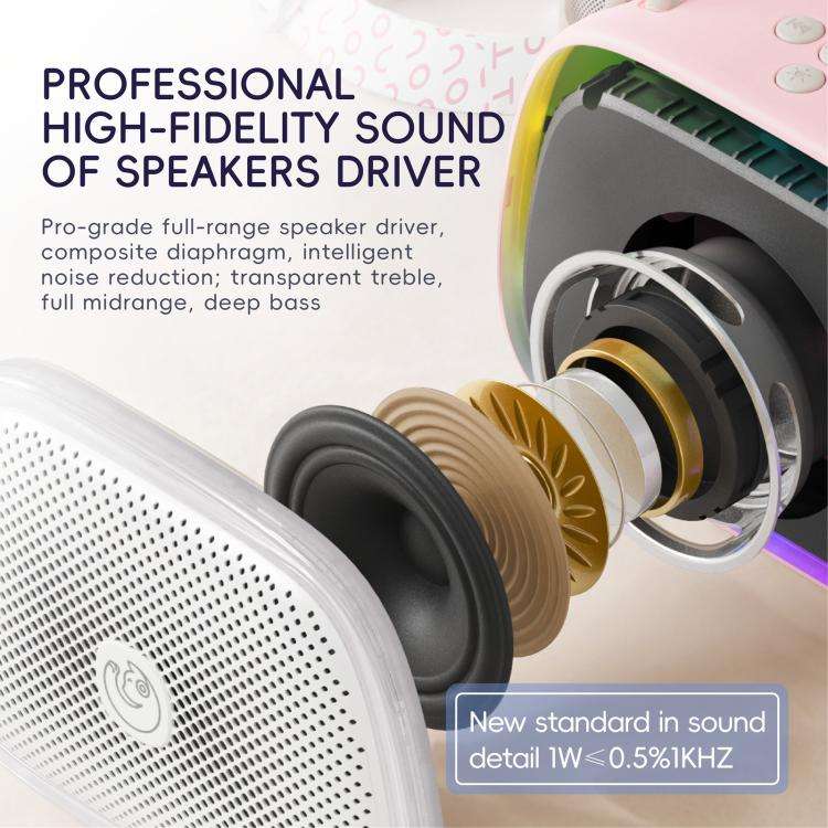 C22 Portable Karaoke Wireless Speaker with Microphone