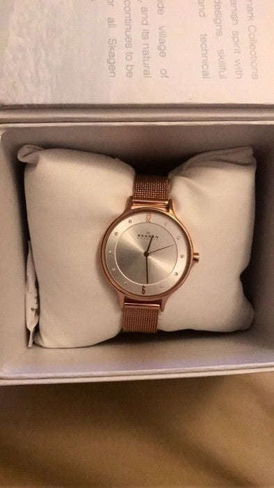 SKAGEN  SKW2151 Anita Silver Dial Rose Gold-tone Ladies Watch