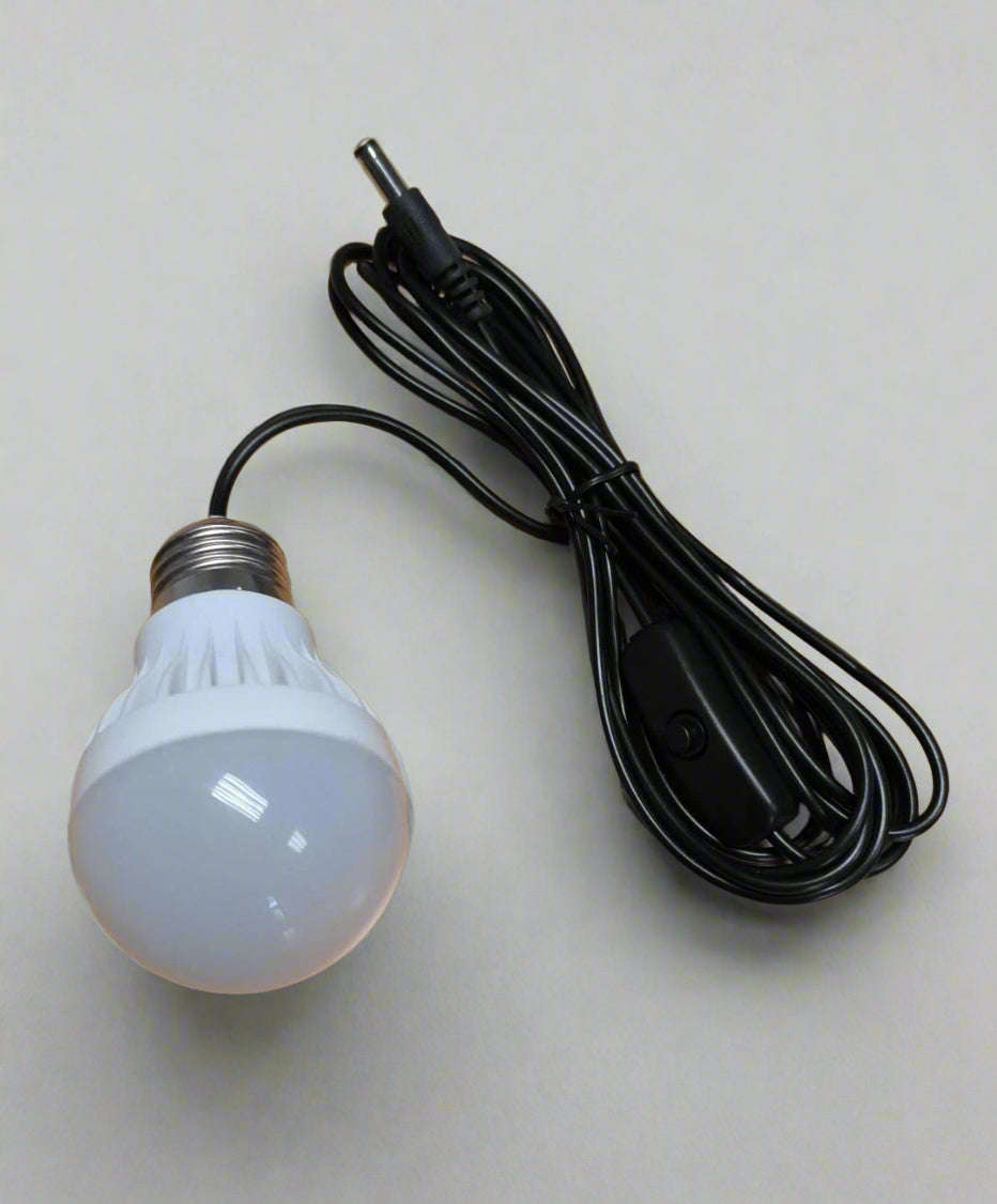 6v DC 3watt Cool White 6000K Switched LED Bulb for Emergency Led Lighting Kit