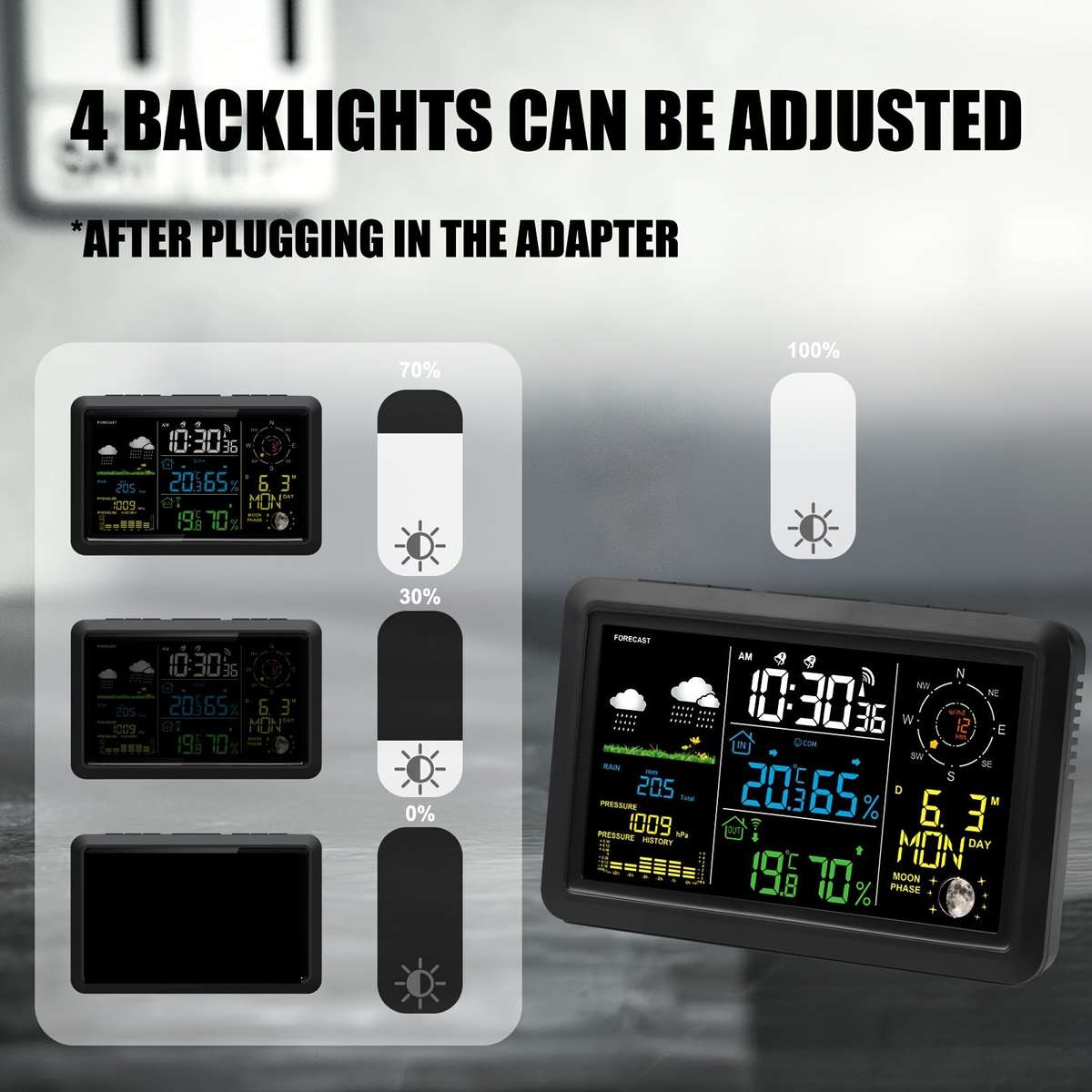 Wireless Weather Station with Outdoor Sensor (10000336)