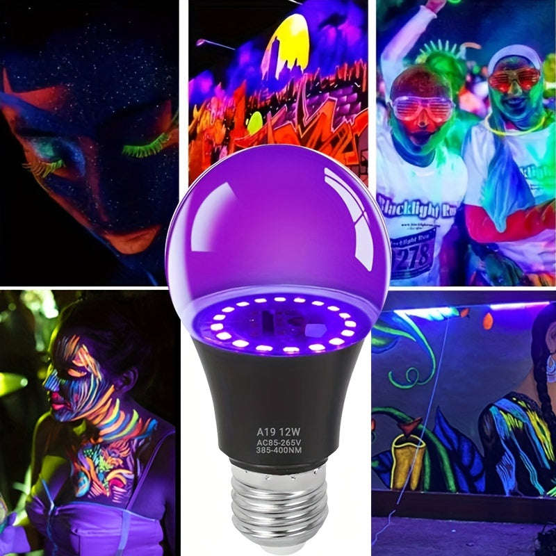 E27 12W 2Pack LED Black Light Bulbs (10000873)