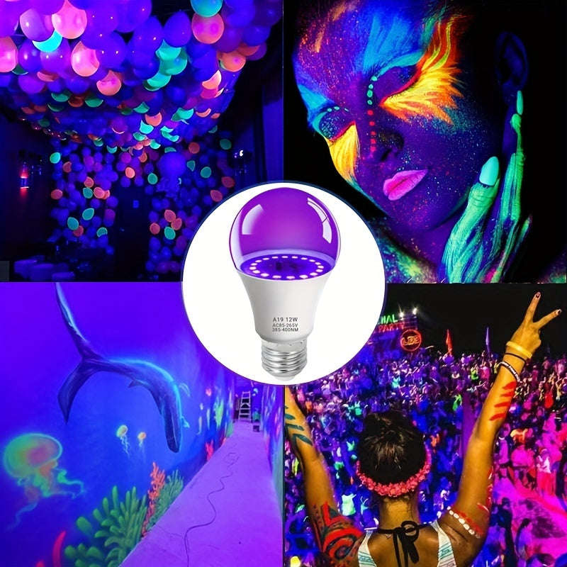 E27 12W 2Pack LED Black Light Bulbs (10000873)