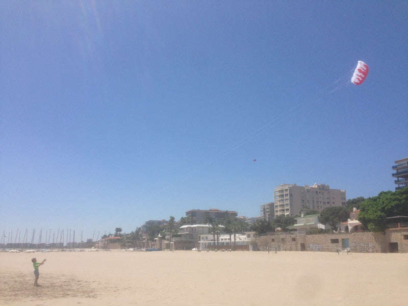 Braided Line Flame Parachute Sports Beach Kite