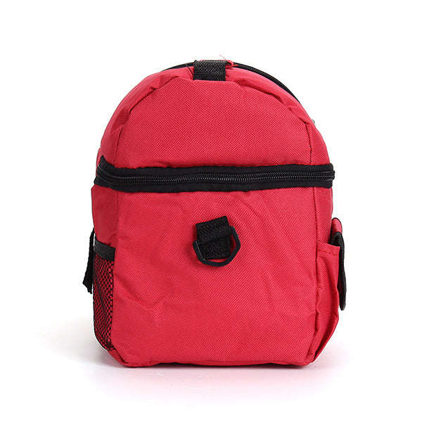 Picnic Lunch Cooler Bag - Blue