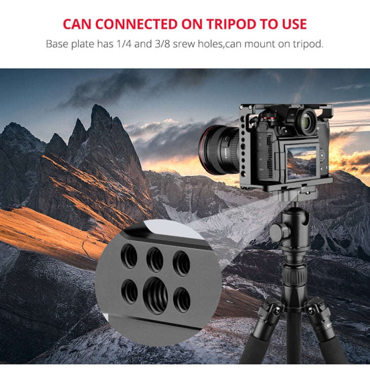 YELANGU C18 YLG0915A-A Video Camera Cage Stabilizer for Panasonic Lumix DC-S1H / DC-S1 / DC-S1R (...