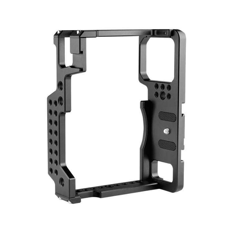 YELANGU C18 YLG0915A-A Video Camera Cage Stabilizer for Panasonic Lumix DC-S1H / DC-S1 / DC-S1R (...