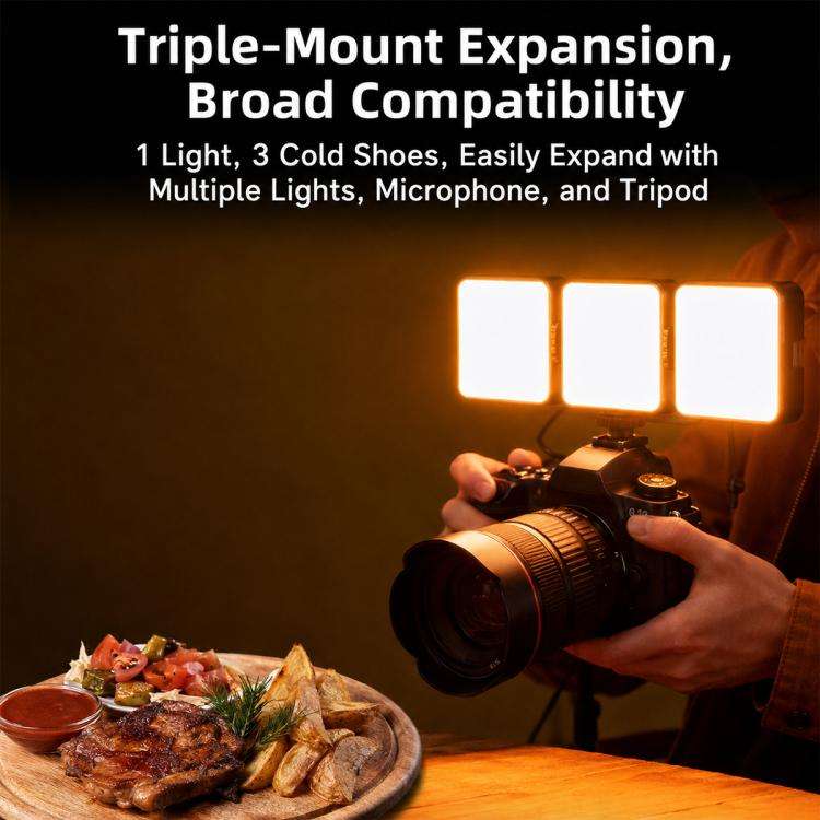 Desiontal iReal-X2 Portable RGB Photography Light (Black)