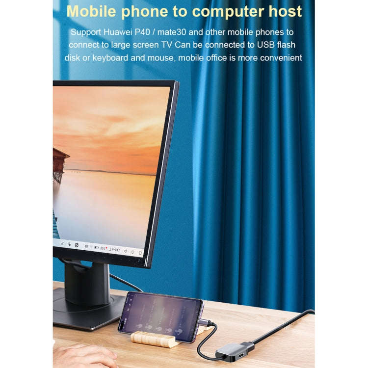 HW-6002 2 In 1 Type-C / USB-C to HDMI + VGA Adapter Converter(Grey)