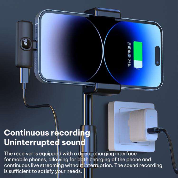 J1 2 in 1 Lavalier Wireless Microphone Noise Reduction Mini Mic, Model:Type-C Plug