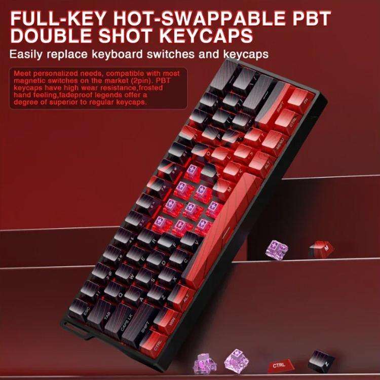 AULA WIN60HE MAX Edition 60 Keys RGB Wired Keyboard(Red Wing Chun Magnetic Axis)
