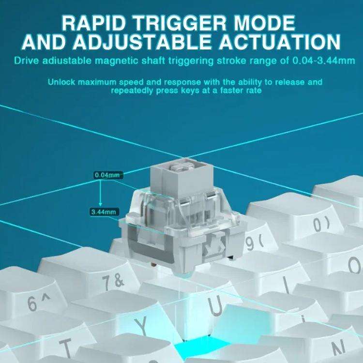 AULA WIN60HE Standard Edition 60 Keys RGB Wired Keyboard(Side Printed White Gray Wood Magnetic Axis)