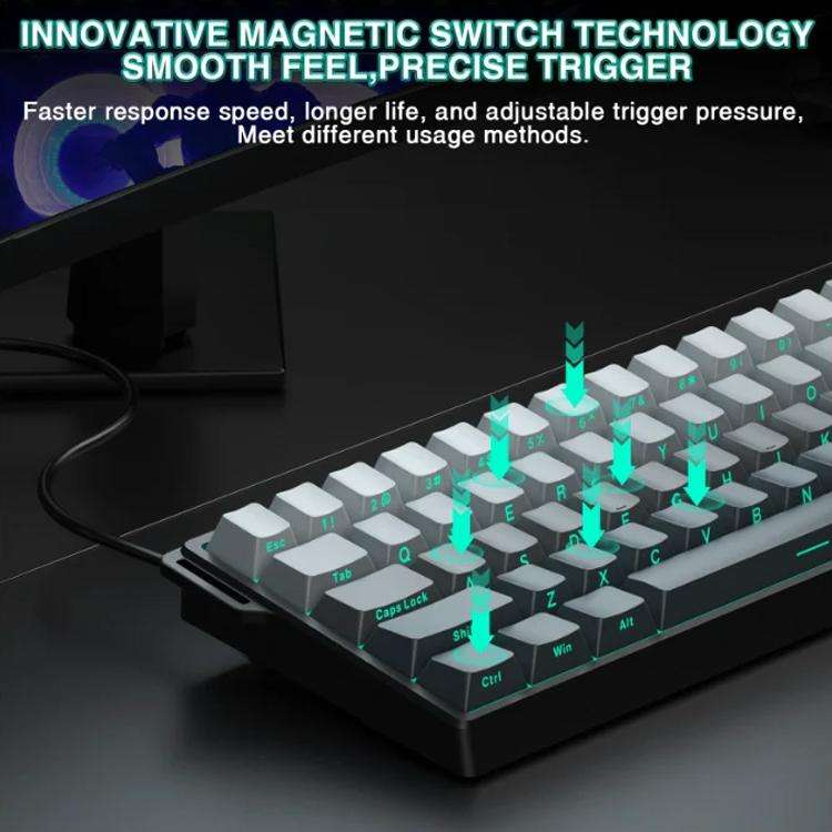 AULA WIN60HE Standard Edition 60 Keys RGB Wired Keyboard(Side Printed Black Gray Wood Magnetic Axis)