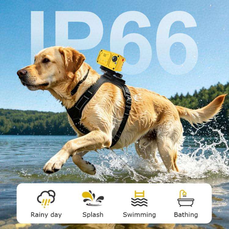 4G Outdoor Waterproof Pet GPS Location Tracker with Real-time Monitoring Camera, EU Version(Yellow)