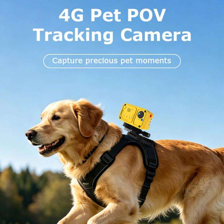 4G Outdoor Waterproof Pet GPS Location Tracker with Real-time Monitoring Camera, EU Version(Yellow)