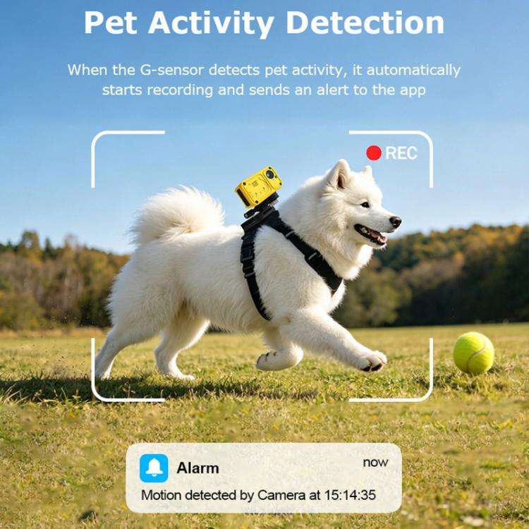 4G Outdoor Waterproof Pet GPS Location Tracker with Real-time Monitoring Camera, EU Version(Yellow)