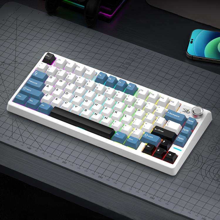 SHIPADOO JK750 Blue Switch RGB 79 Keys Three Modes Mechanical Keyboard(Glacier Blue)