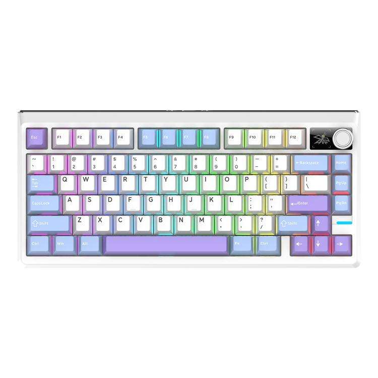 SHIPADOO JK750 Blue Switch RGB 79 Keys Three Modes Mechanical Keyboard(Glacier Purple)