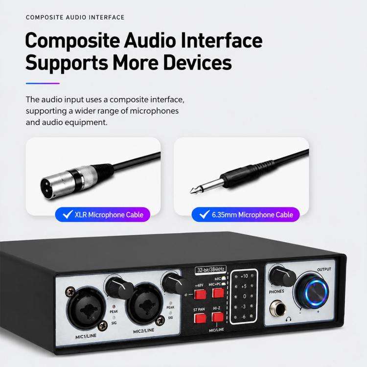 UR22MK Multi-function Professional Mixer External Live Streaming Sound Card(Black)