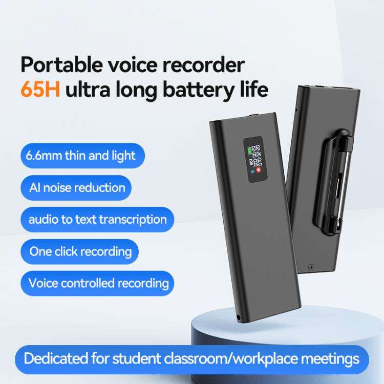 Q31P 0.42-inch Screen Pin-style Voice Recorder, Memory:32GB(Black)