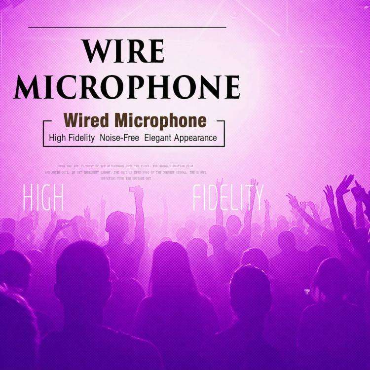 YS-102 Separate Wired Dynamic Microphone, Specification:6.35mm