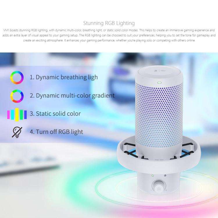 FEELWORLD VM1-XS USB Condenser Gaming Microphone for Streaming Noise Cancellation Mute RGB Light ...