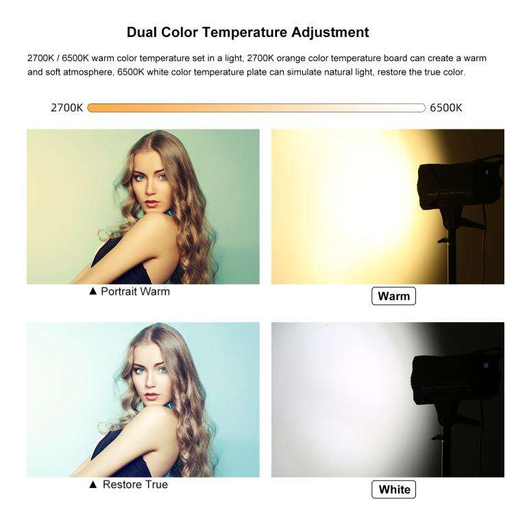 PULUZ 120W Photo Studio Strobe Flash Light Kit with Softbox Reflector & Tripod(US Plug)