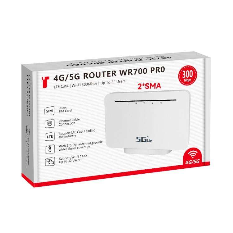WR700-E SIM Card 300Mbps Eurasian Version Detachable Antenna Mobile WiFi 4G CPE Router, Plug:EU Plug