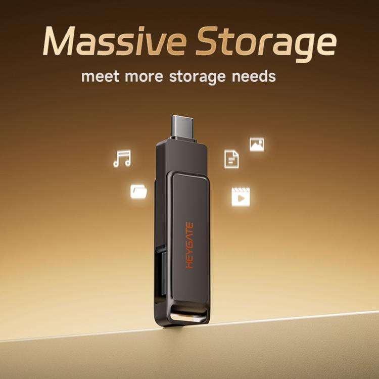 HEYGATE L1 Flash Drive 2 in 1 USB-A + USB-C /Type-C High Speed Memory Stick, Memsize:256GB