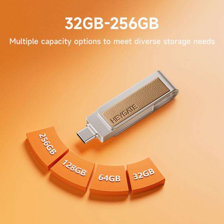 HEYGATE L2 2-in-1 USB 3.0 Flash Drive Dual Interface High Speed Memory Stick, Memsize:128GB