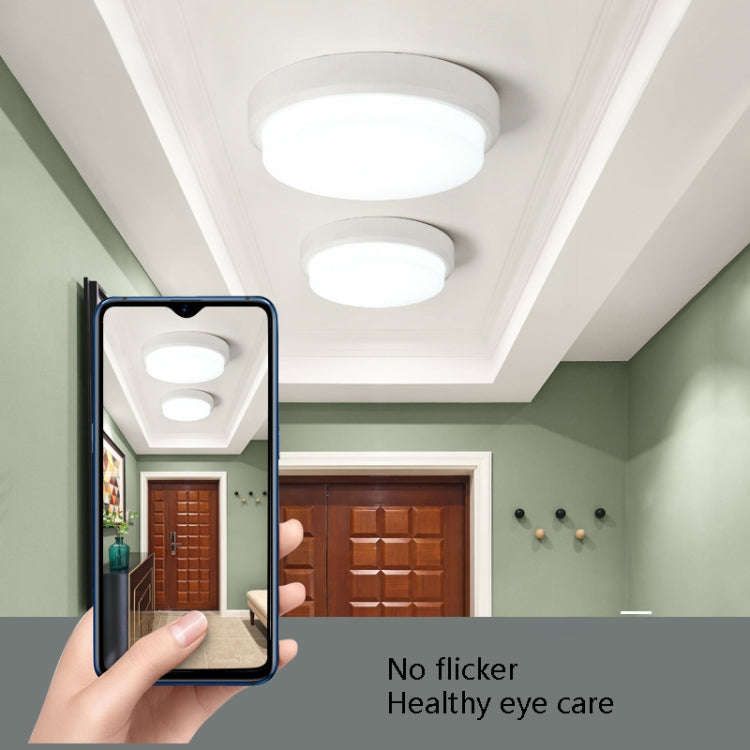 QSXDD-FSCB IP54 Waterproof Ceiling Lamp Dust-Proof Garden Corridor Wall Light Balcony Bathroom Ce...