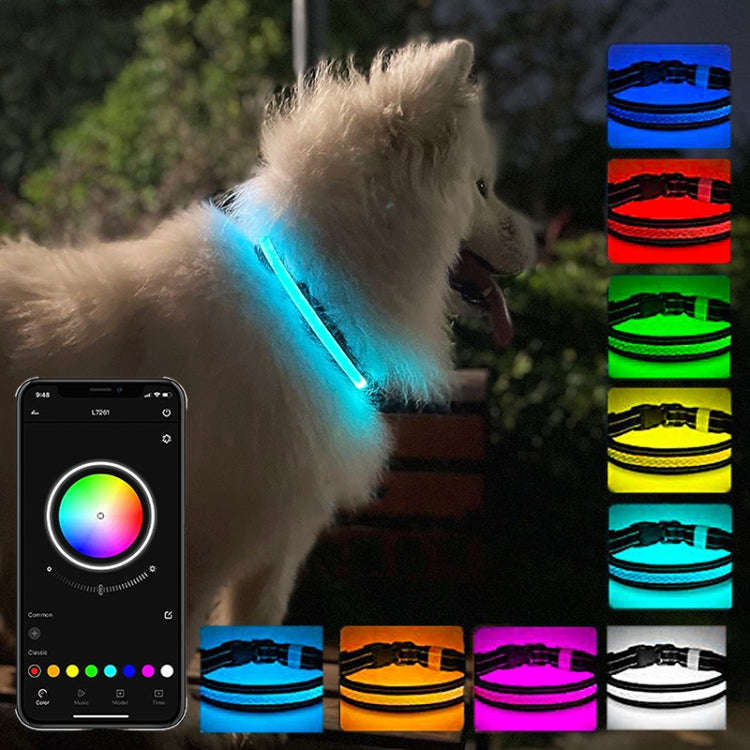 LED Rechargeable Wear-resistant and Waterproof Pet Lighting Collar, Size: M(Black)